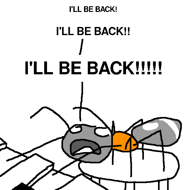 A Portrait of the Author as a Velvet Ant Coldsore - a velvet ant who makes music as Prod - stands on a stool and hits two piano keys with her front legs, while exclaiming "I'LL BE BACK! I'LL BE BACK!! I'LL BE BACK!!!!!"